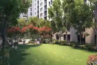 Landscaped Courtyard